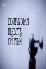 Watch Edwardian Insects on Film Solarmovie