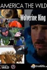 Watch National Geographic Wild America the Wild Wolverine King Solarmovie