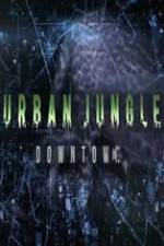 Watch National Geographic Wild Urban Jungle Downtown Solarmovie