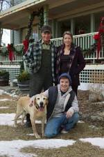Watch Hallmark Hall of Fame A Dog Named Christmas Solarmovie