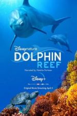 Watch Dolphin Reef Solarmovie