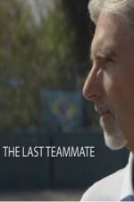 Watch Senna The Last Teammate Solarmovie