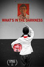 Watch What\'s in the Darkness Solarmovie