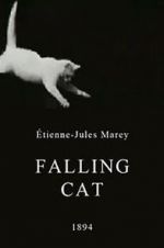 Watch Falling Cat Solarmovie