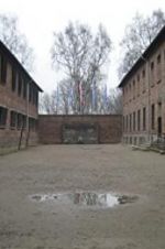 Watch Made in Auschwitz: The Untold Story of Block 10 Solarmovie