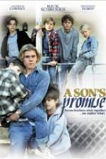 Watch A Son's Promise Solarmovie