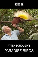 Watch Attenborough's Paradise Birds Solarmovie
