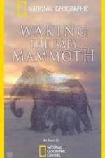 Watch Waking the Baby Mammoth Solarmovie