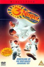 Watch 3 Ninjas Knuckle Up Solarmovie