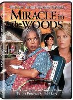 Watch Miracle in the Woods Solarmovie