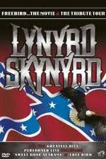 Watch Lynrd Skynyrd: Tribute Tour Concert Solarmovie
