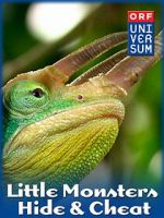 Watch Little Monsters - Hide & Cheat Solarmovie
