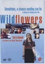 Watch Wildflowers Solarmovie