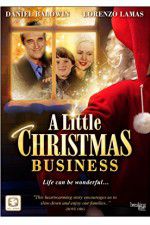 Watch A Little Christmas Business Solarmovie