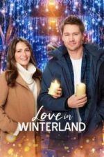 Watch Love in Winterland Solarmovie