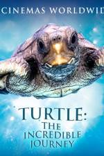 Watch Turtle The Incredible Journey Solarmovie