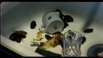 Watch Coup de lune (TV Short 2000) Solarmovie