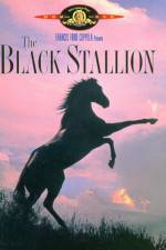 Watch The Black Stallion Solarmovie