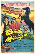 Watch Black Midnight Solarmovie
