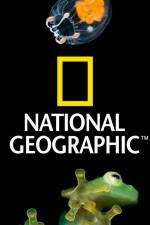 Watch National Geographic Wild Dam Beavers Solarmovie