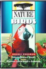 Watch PBS Nature - Extraordinary Birds Solarmovie