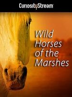 Watch Wild Horses of the Marshes Solarmovie