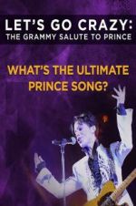 Watch Let\'s Go Crazy: The Grammy Salute to Prince Solarmovie