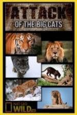 Watch National Geographic Attack Of The Big Cats Solarmovie