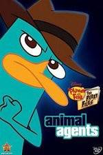Watch Phineas And Ferb Animal Agents Solarmovie