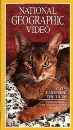 Watch Cats: Caressing the Tiger Solarmovie