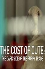 Watch The Cost of Cute: The Dark Side of the Puppy Trade Solarmovie