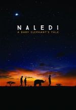Watch Naledi: A Baby Elephant\'s Tale Solarmovie
