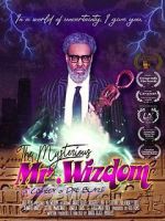 Watch The Mysterious Mr. Wizdom Solarmovie