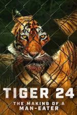 Watch Tiger 24 Solarmovie