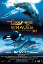 Watch Dolphins and Whales 3D Tribes of the Ocean Solarmovie