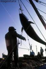 Watch National Geographic: Cheating Death Tuna Cowboys Solarmovie