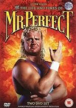 Watch The Life and Times of Mr. Perfect Solarmovie
