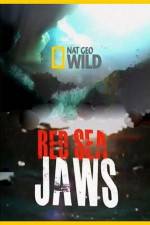 Watch National Geographic Red Sea Jaws Solarmovie