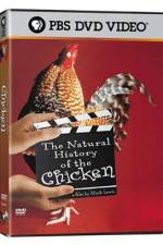 Watch The Natural History of the Chicken Solarmovie