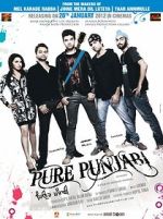 Watch Pure Punjabi Solarmovie