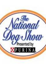 Watch National Dog Show Solarmovie