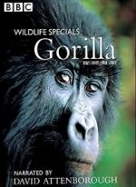 Watch Gorilla Revisited with David Attenborough Solarmovie