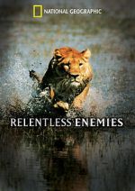 Watch Relentless Enemies Solarmovie