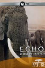 Watch Echo: An Elephant to Remember Solarmovie