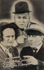 Watch 3 Dumb Clucks (Short 1937) Solarmovie