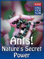 Watch Ants: Nature\'s Secret Power Solarmovie