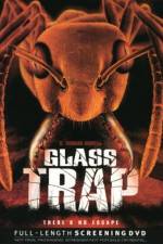 Watch Glass Trap Solarmovie