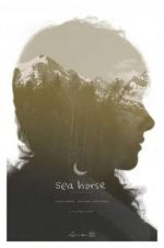 Watch Sea Horse Solarmovie
