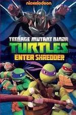 Watch Teenage Mutant Ninja Turtles: Enter Shredder Solarmovie