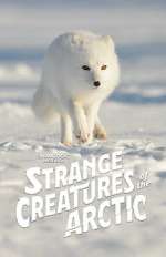Watch Strange Creatures of the Arctic (TV Special 2022) Solarmovie